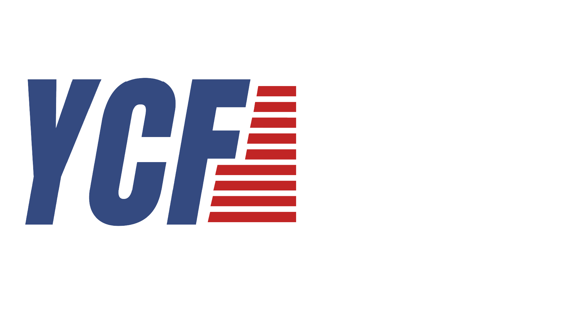 young-conservative-federation